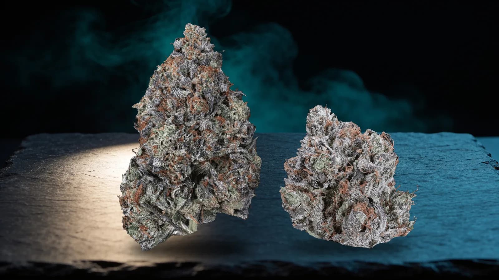 Weed measurements: a big AAAA Death Bubba bud beside a smaller bud from the same plants on dark slate