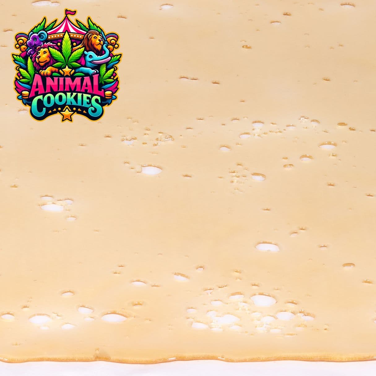 Animal Cookies - Pull and Snap