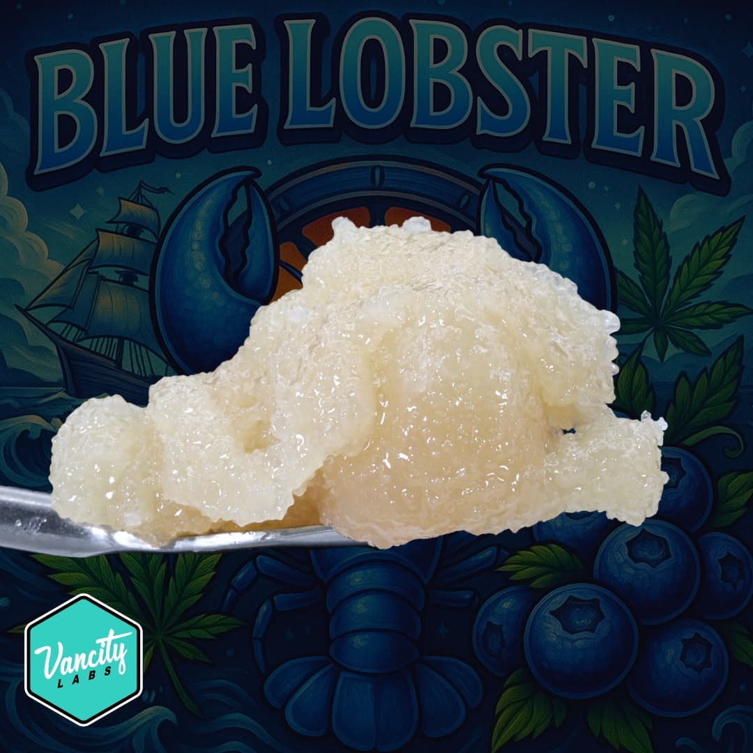 Blue Lobster - Live Resin