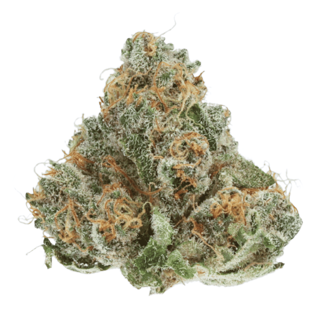 California Citrus - Smalls