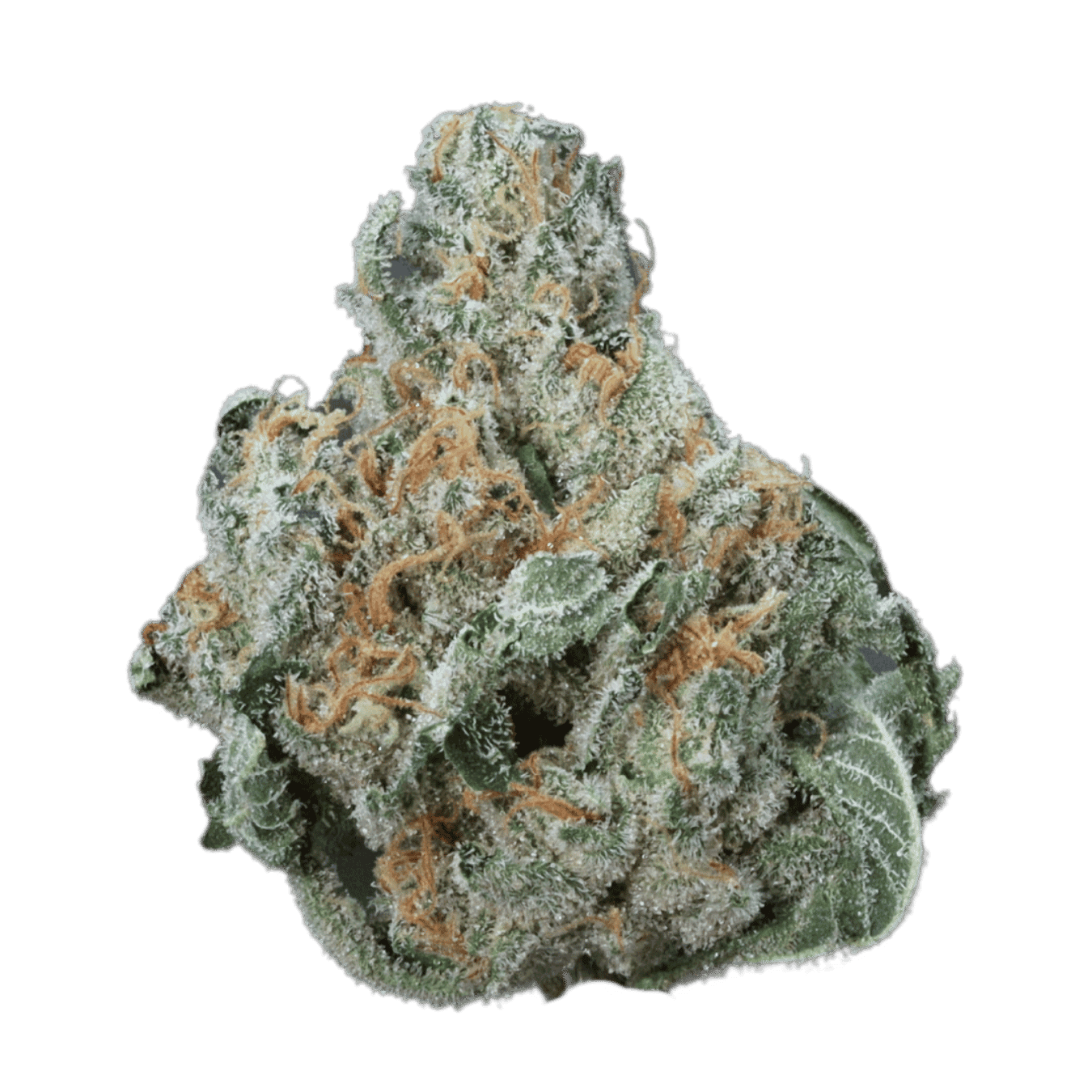 Chocolatina - Smalls