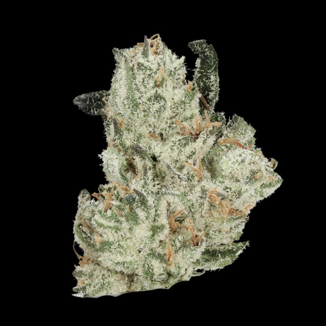 Greasy Oreoz - Smalls