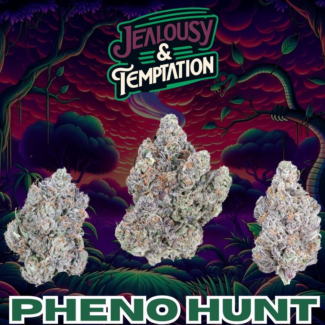 Pheno Hunt Pack #3