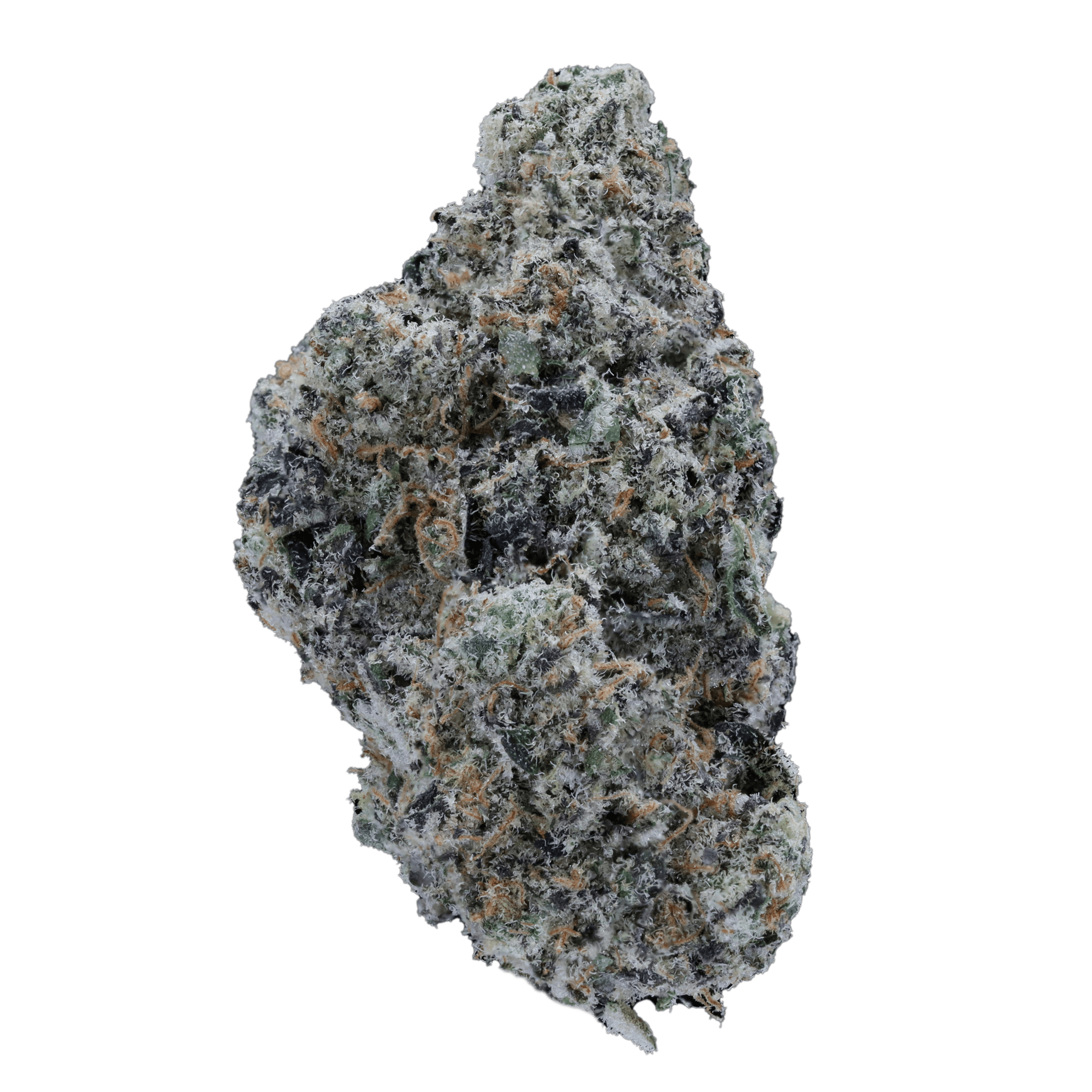 Neapolitan Swirl - AAA