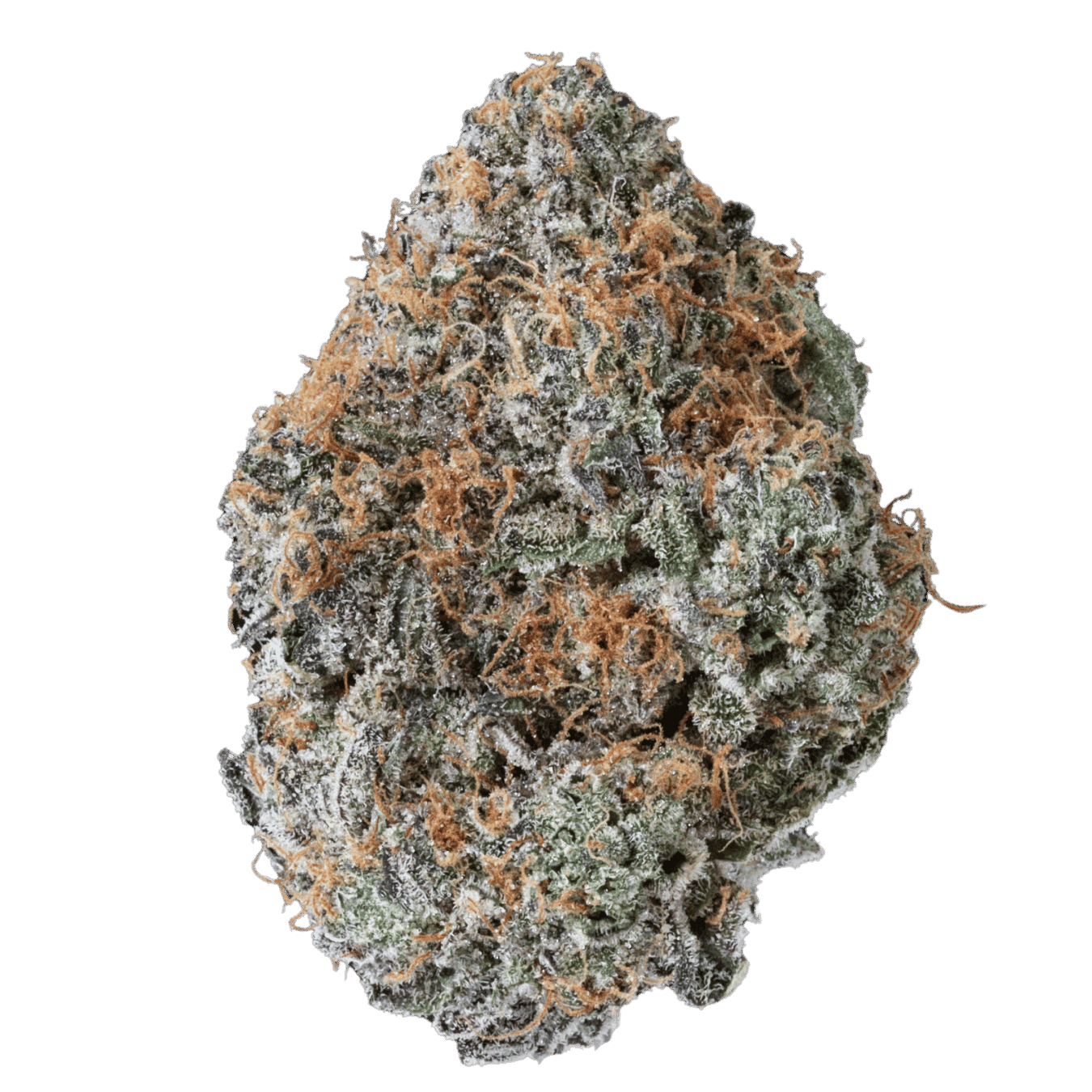 Permanent Marker - AAA