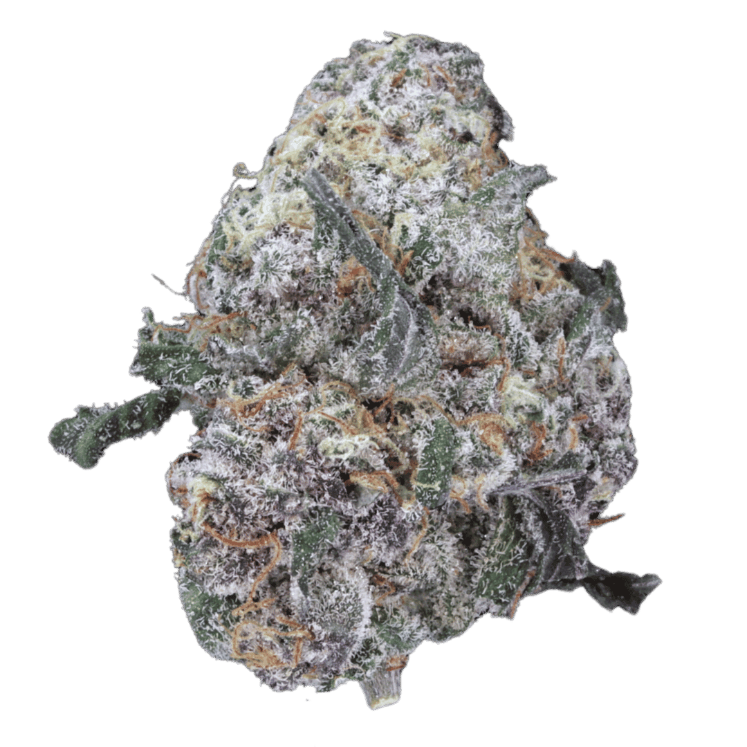 Rainbow Chip - Smalls