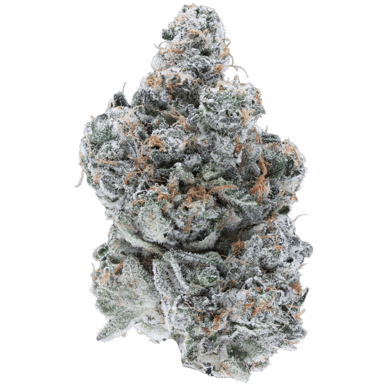 Secret Cookies x Kush Mints - AAAA