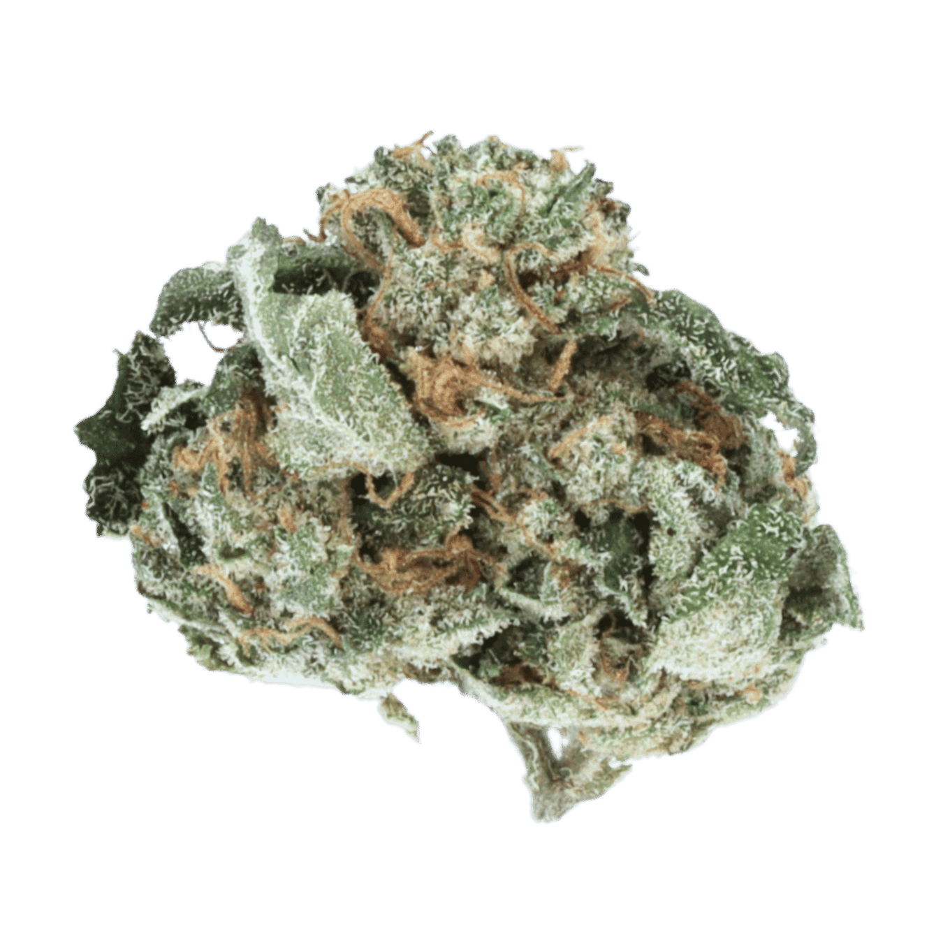 Sherb Cream Pie - Smalls