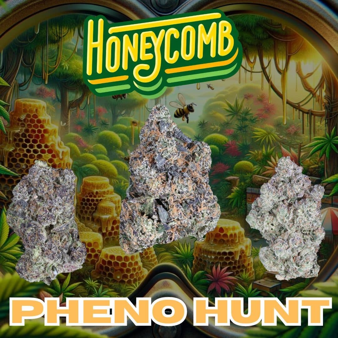 Pheno Hunt Pack #2