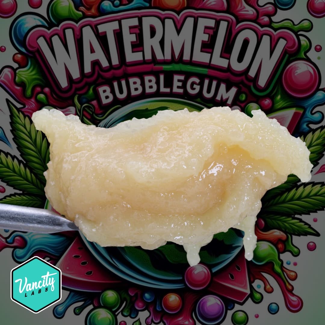 Watermelon Bubblegum - Live Resin