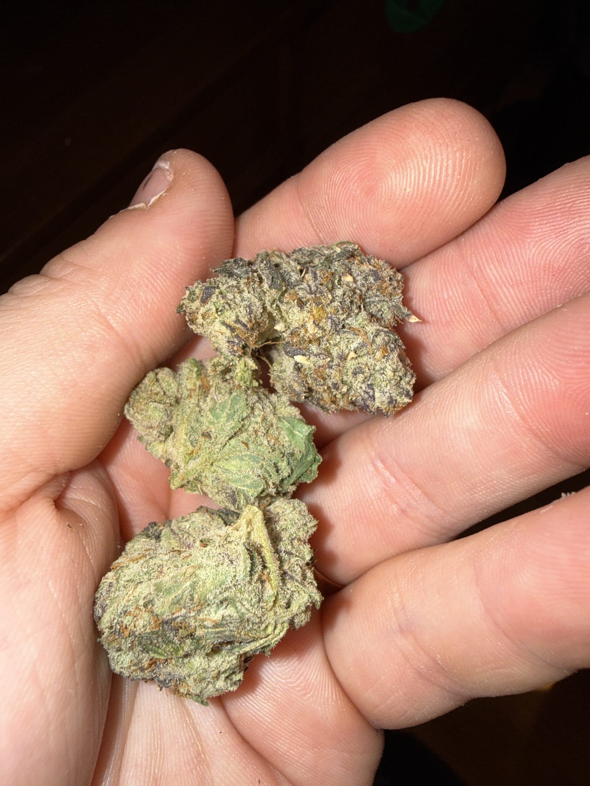 Customer photo of Bread And Butter - AAAA