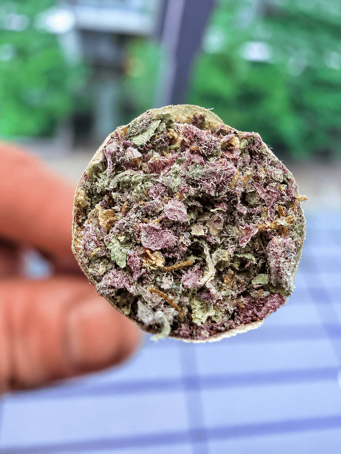 Customer photo of Super Boof Cherry - AAA