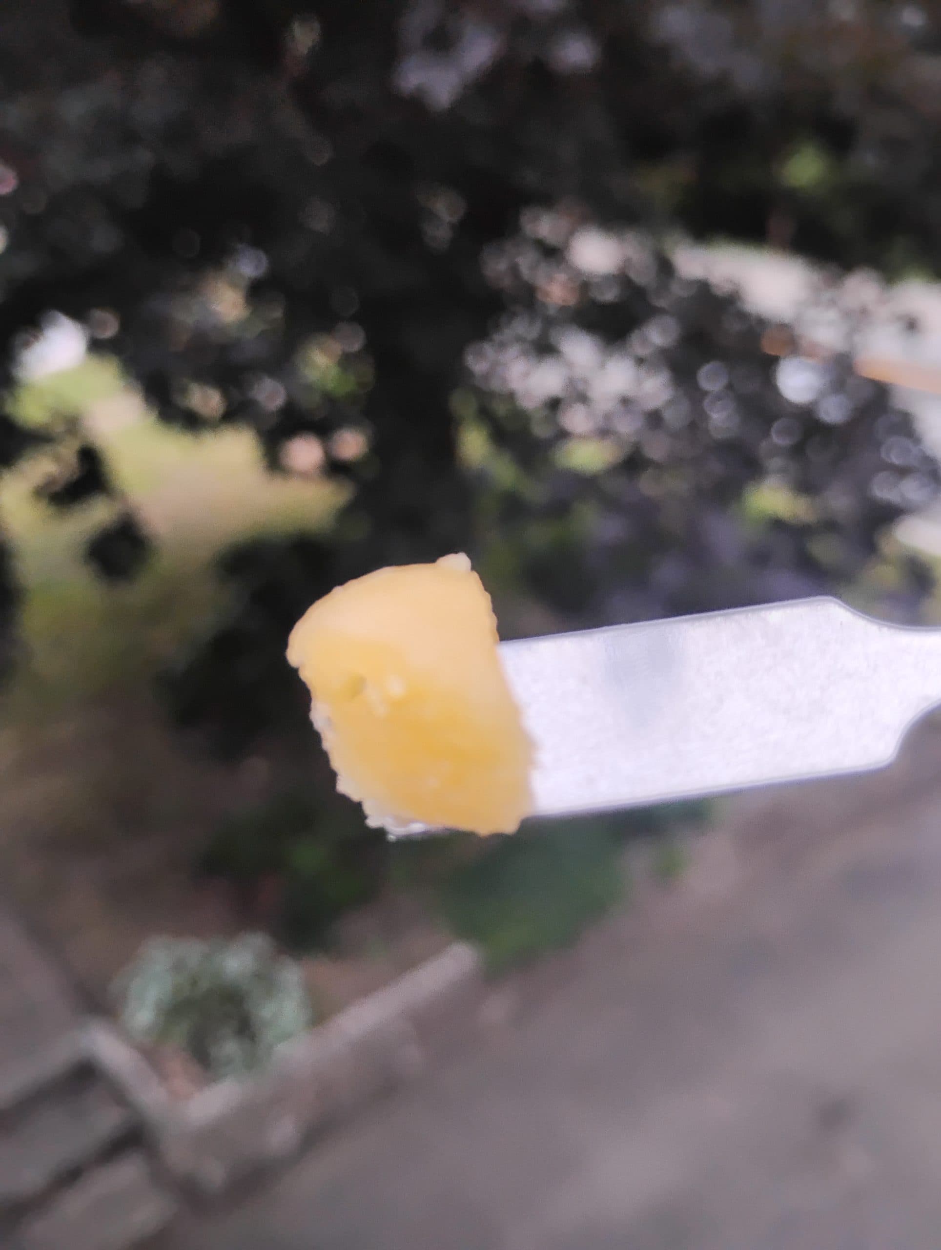 Customer photo of Cherry Gelato - FSE