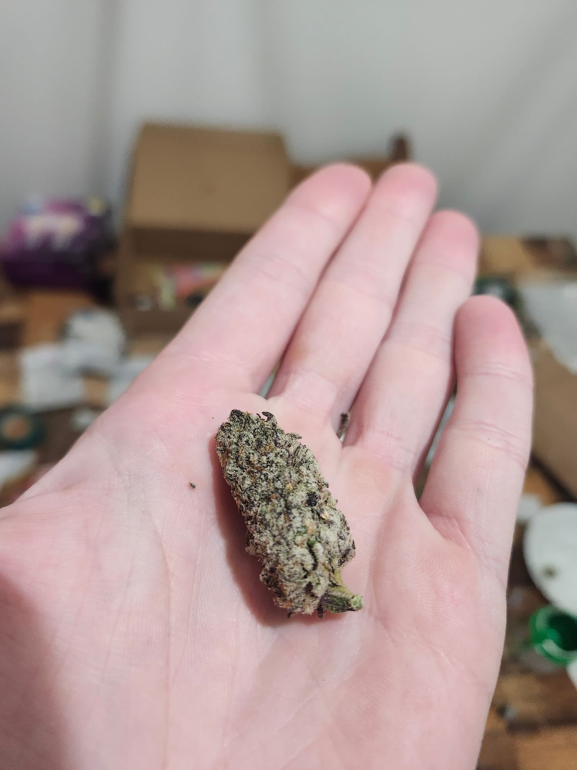 Customer photo of Petrol Potion - AAAA