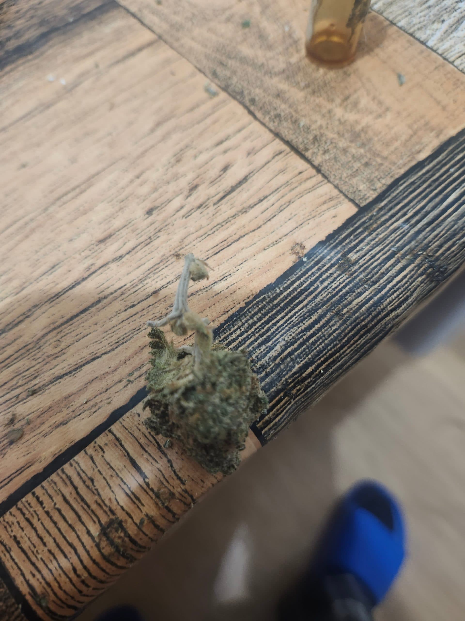 Customer photo of Super Boof - AAA