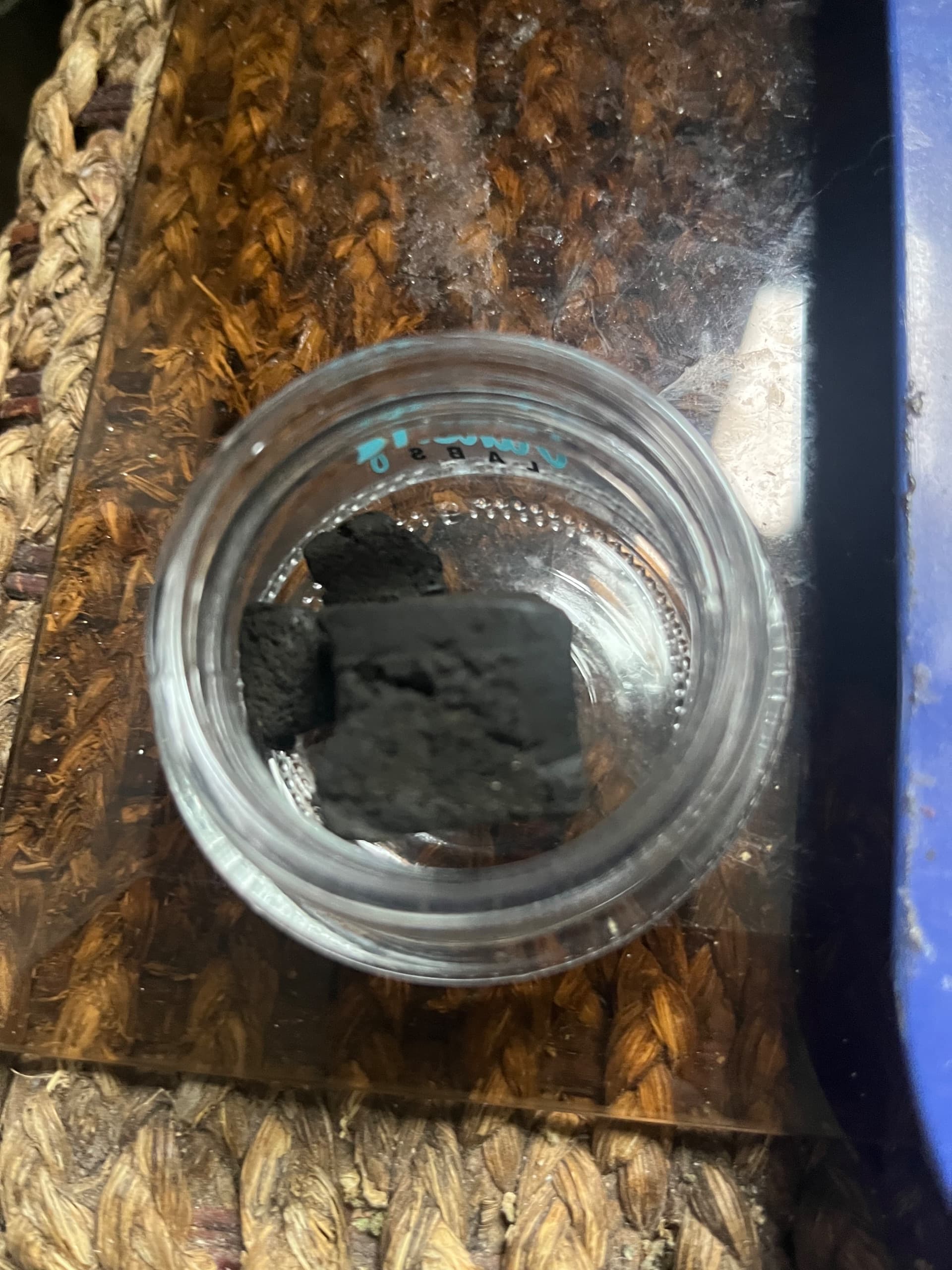 Customer photo of Afghan Palm Tree - Hash