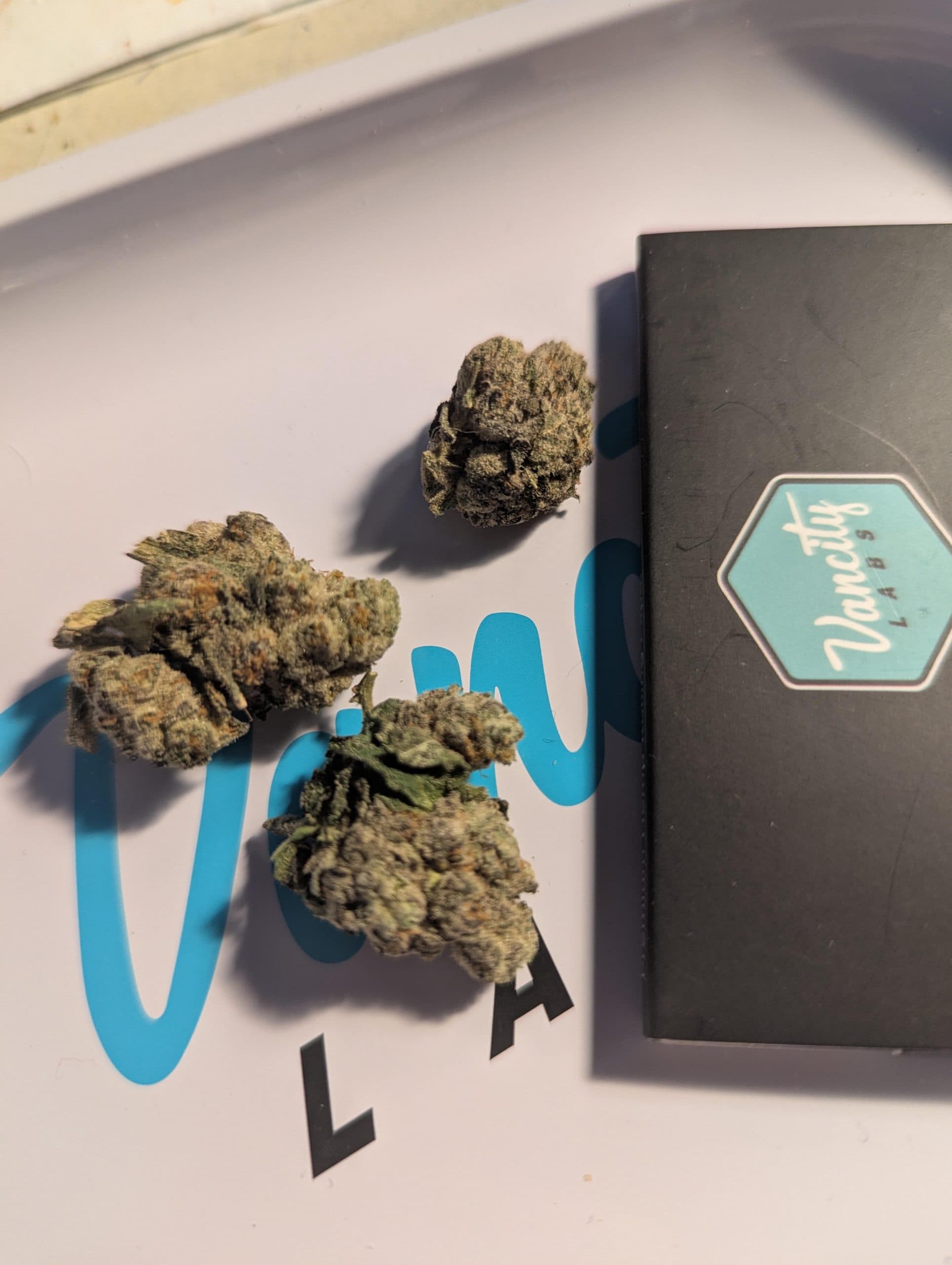 Customer photo of Frumpz - Smalls