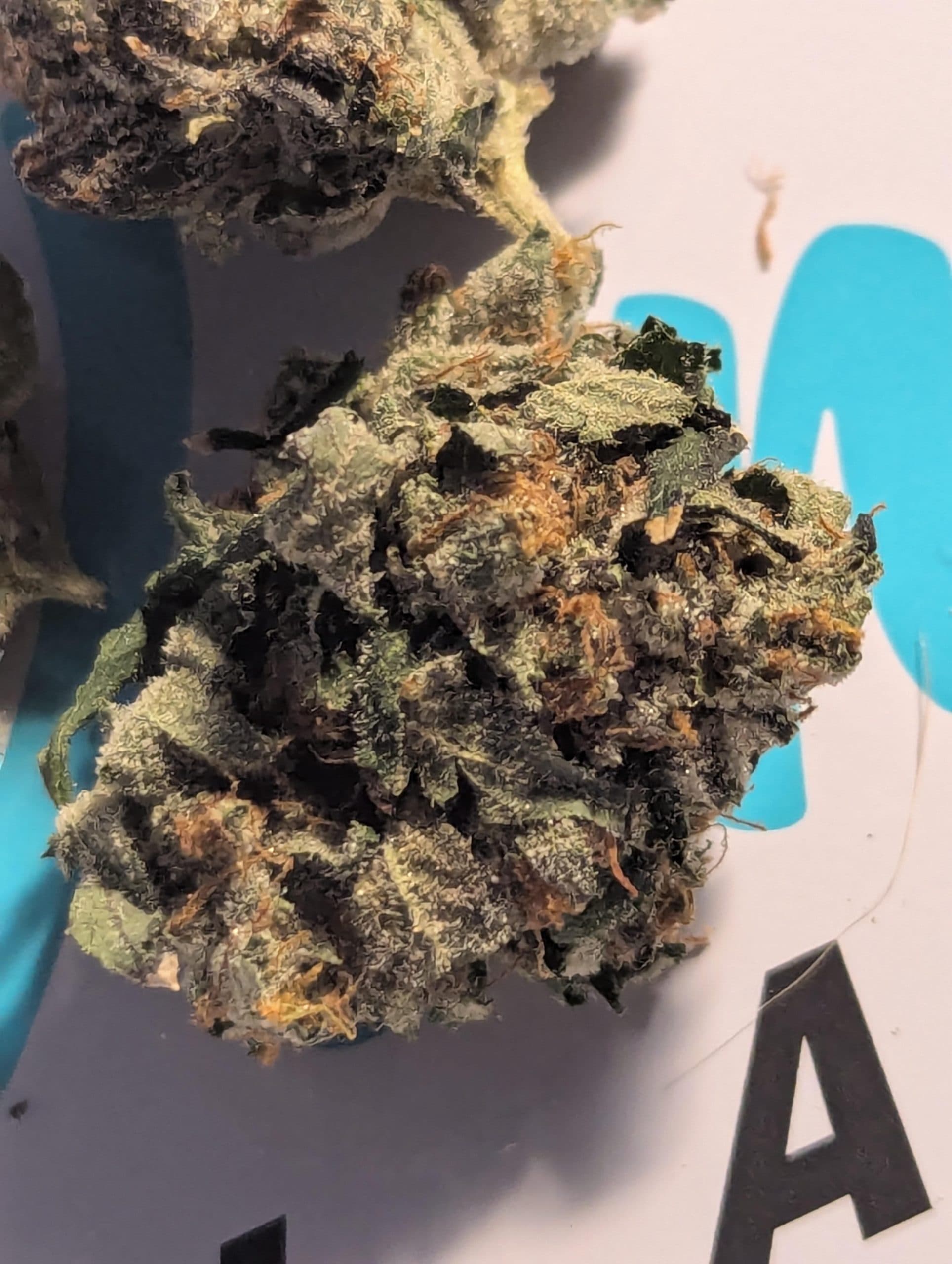 Customer photo of Death Bubba - Smalls