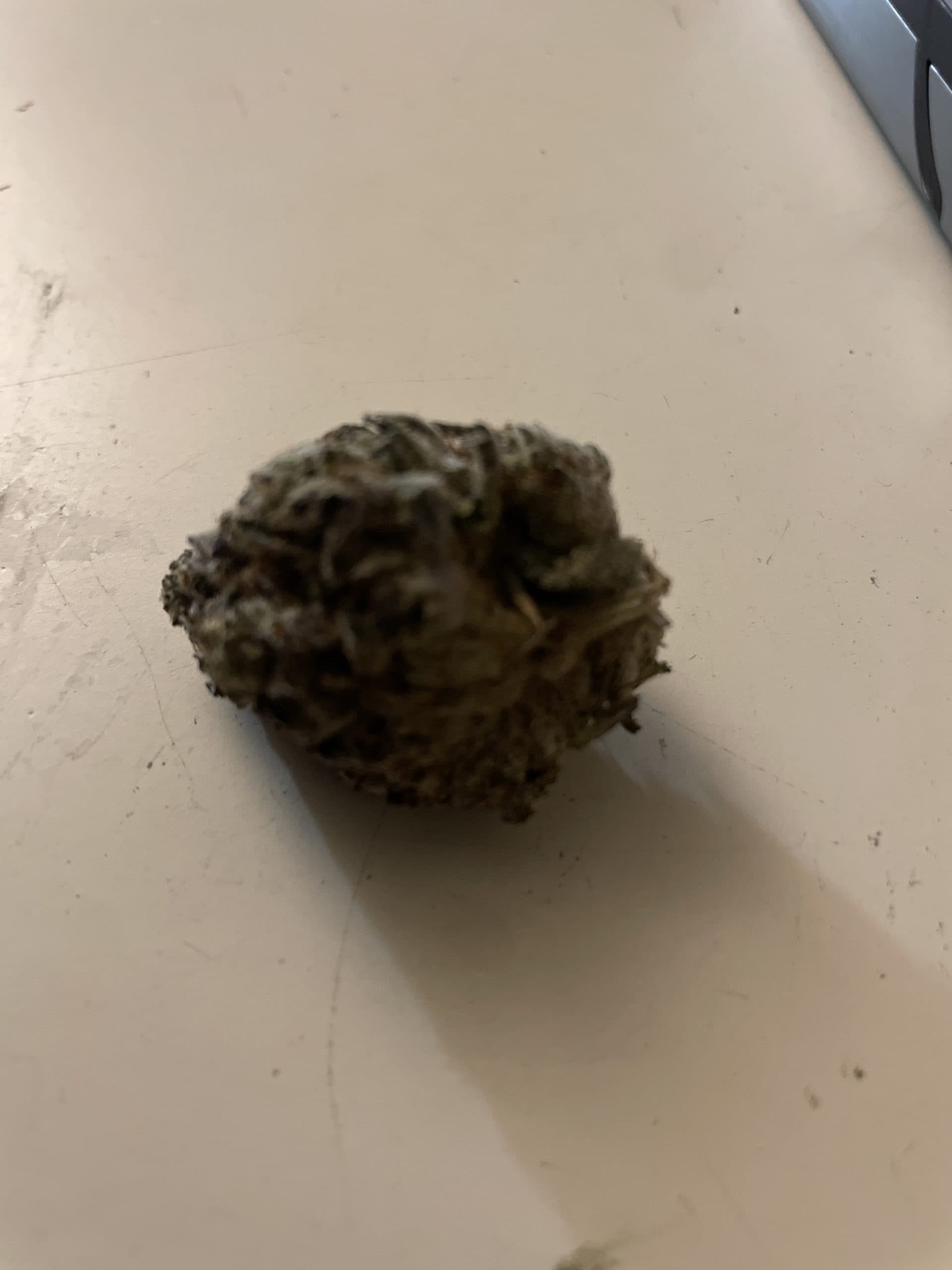 Customer photo of Petrol Potion - AAAA