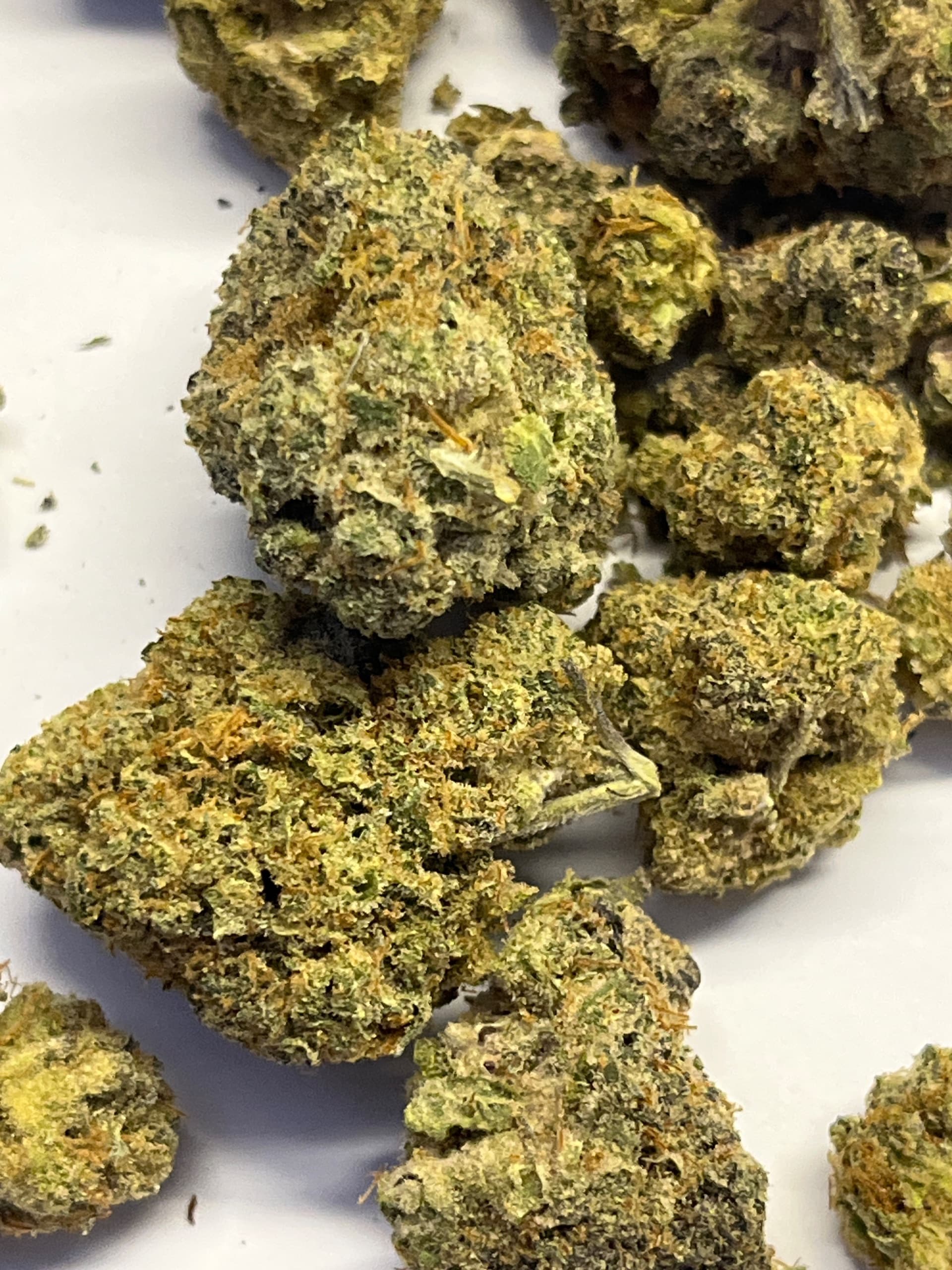 Customer photo of Rainbow Chip - AAA