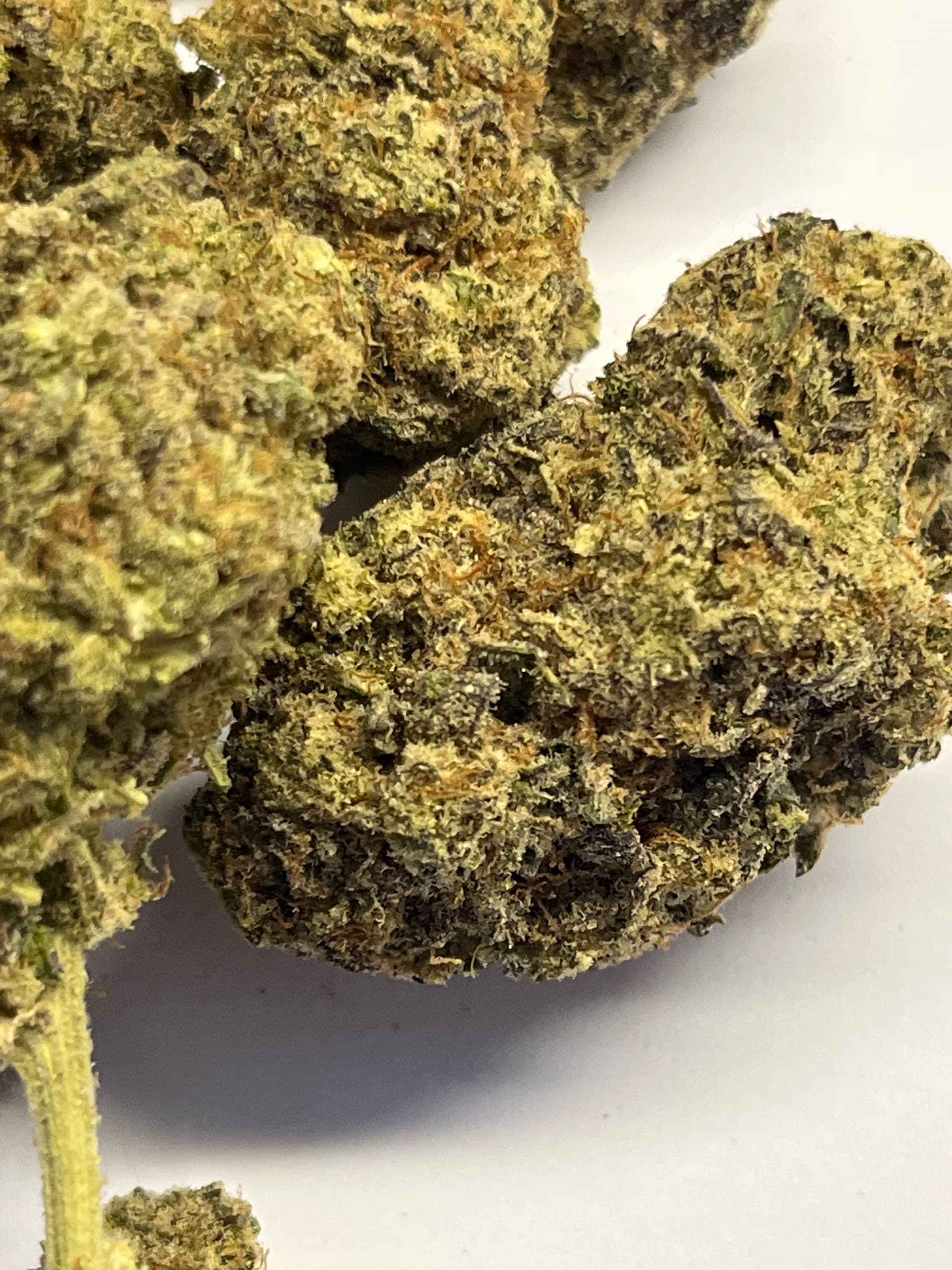 Customer photo of Alien Cookies
