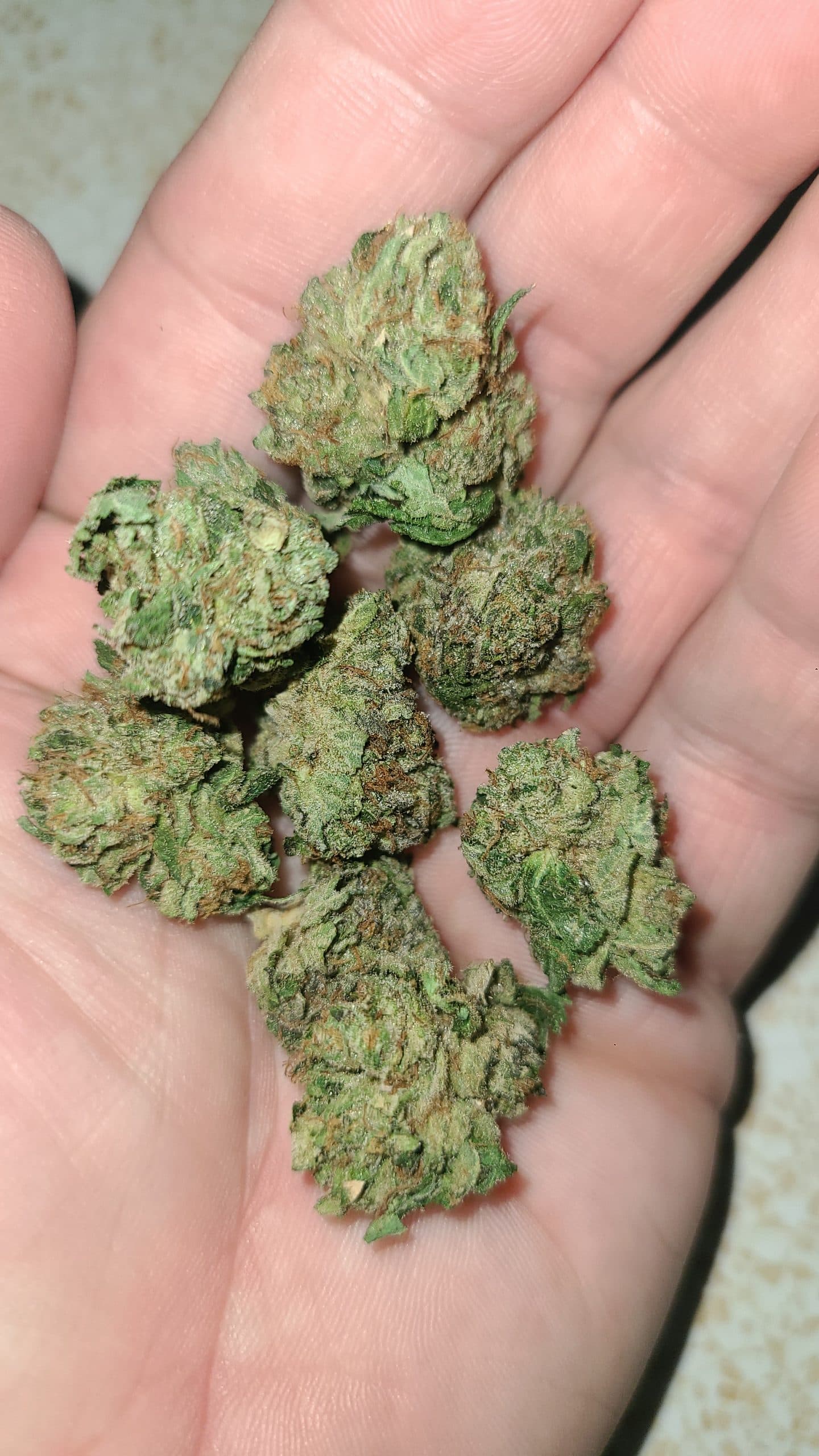 Customer photo of Death Bubba - Smalls