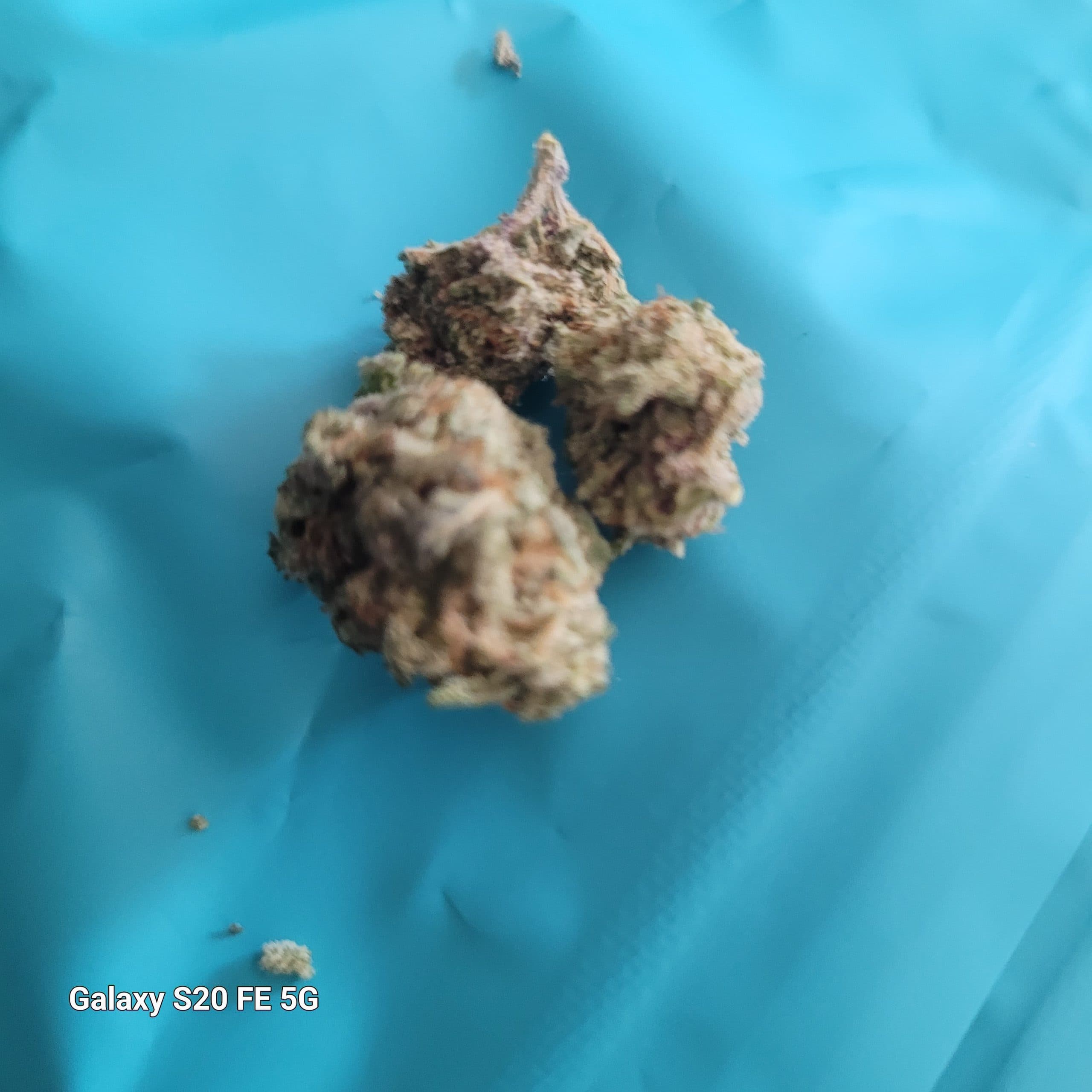 Customer photo of Grease Monkey - AAAA