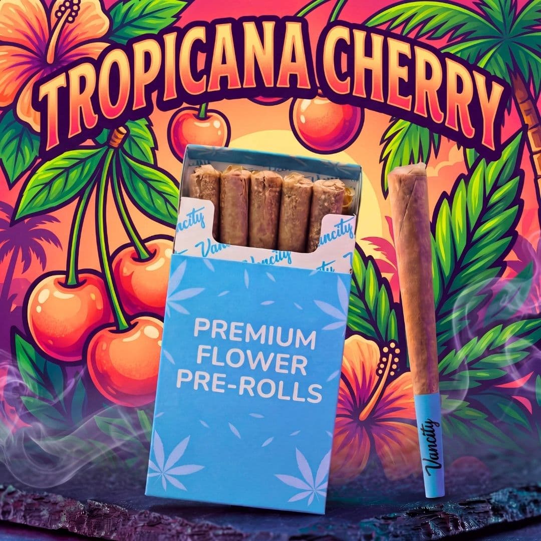 Tropicana Cherry - Premium Flower Pre-rolls 7g (10 x 0.7g)