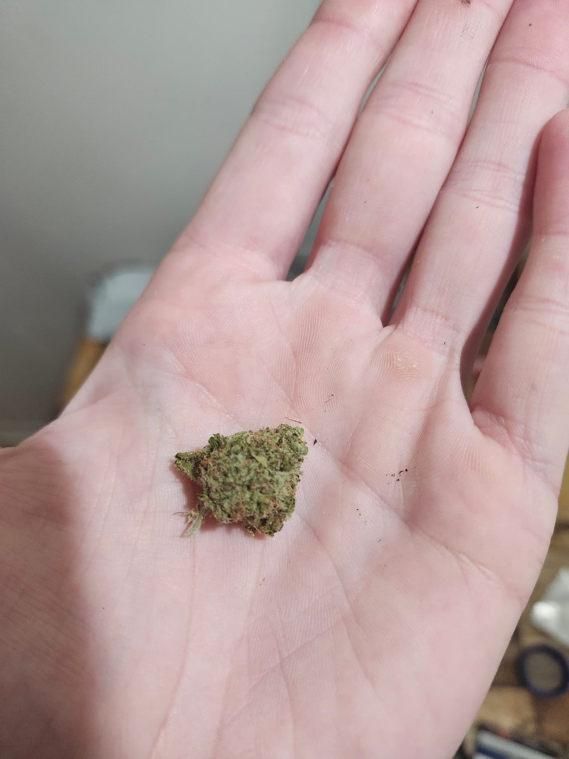 Customer photo of Frosted Fruitcake - AAAA