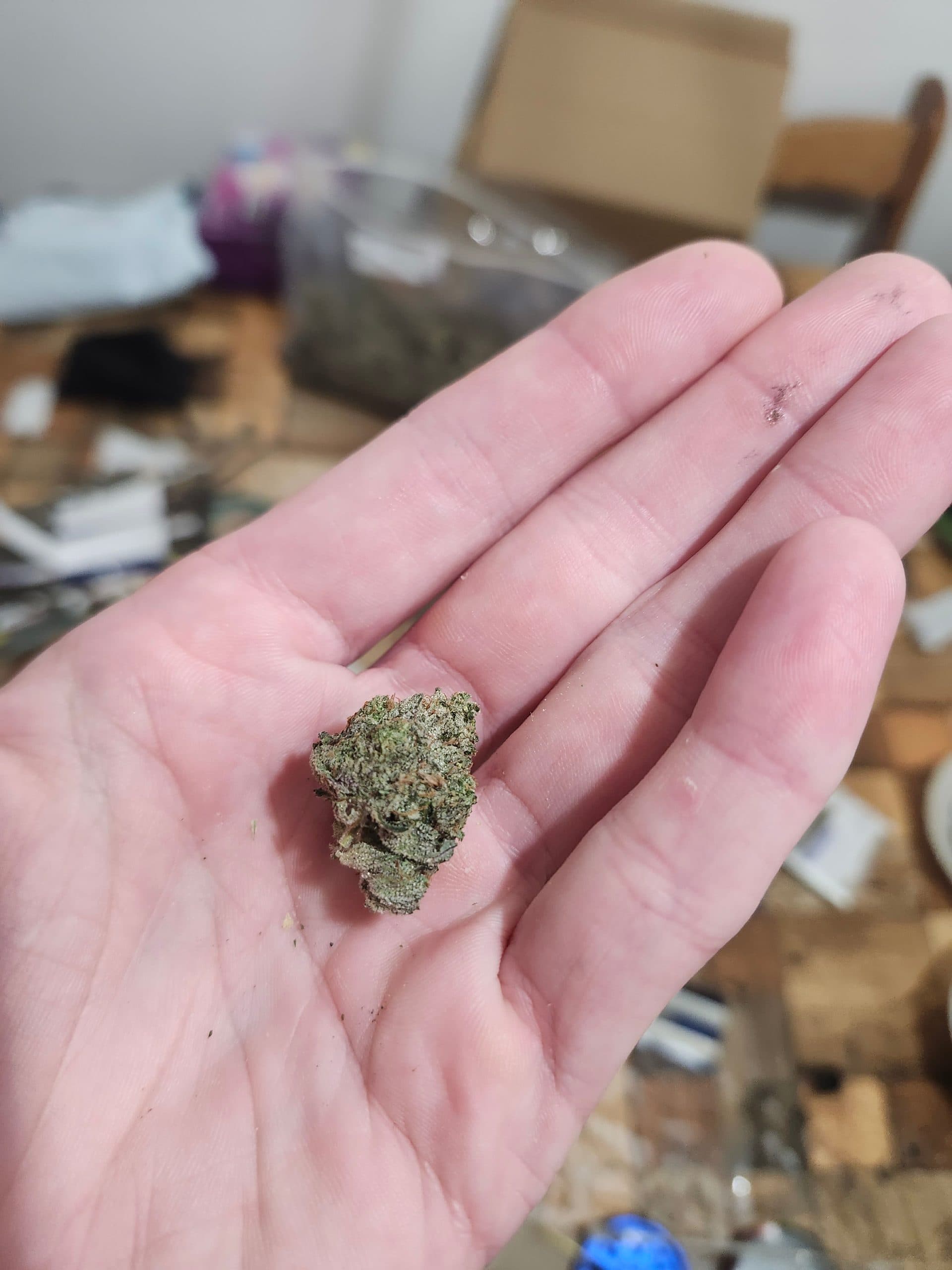 Customer photo of Pink Kush - AAAA