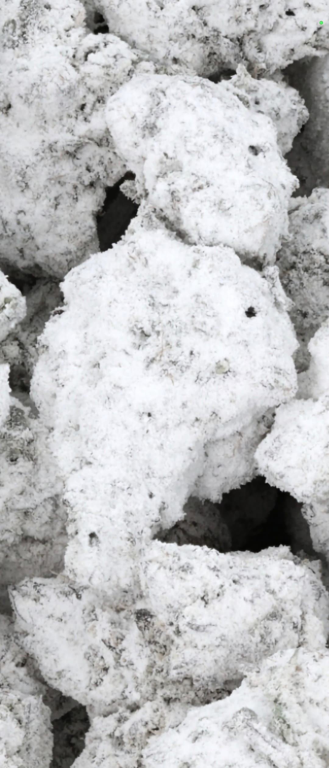 Customer photo of THCa Snowballs - Alien Cookies AAA