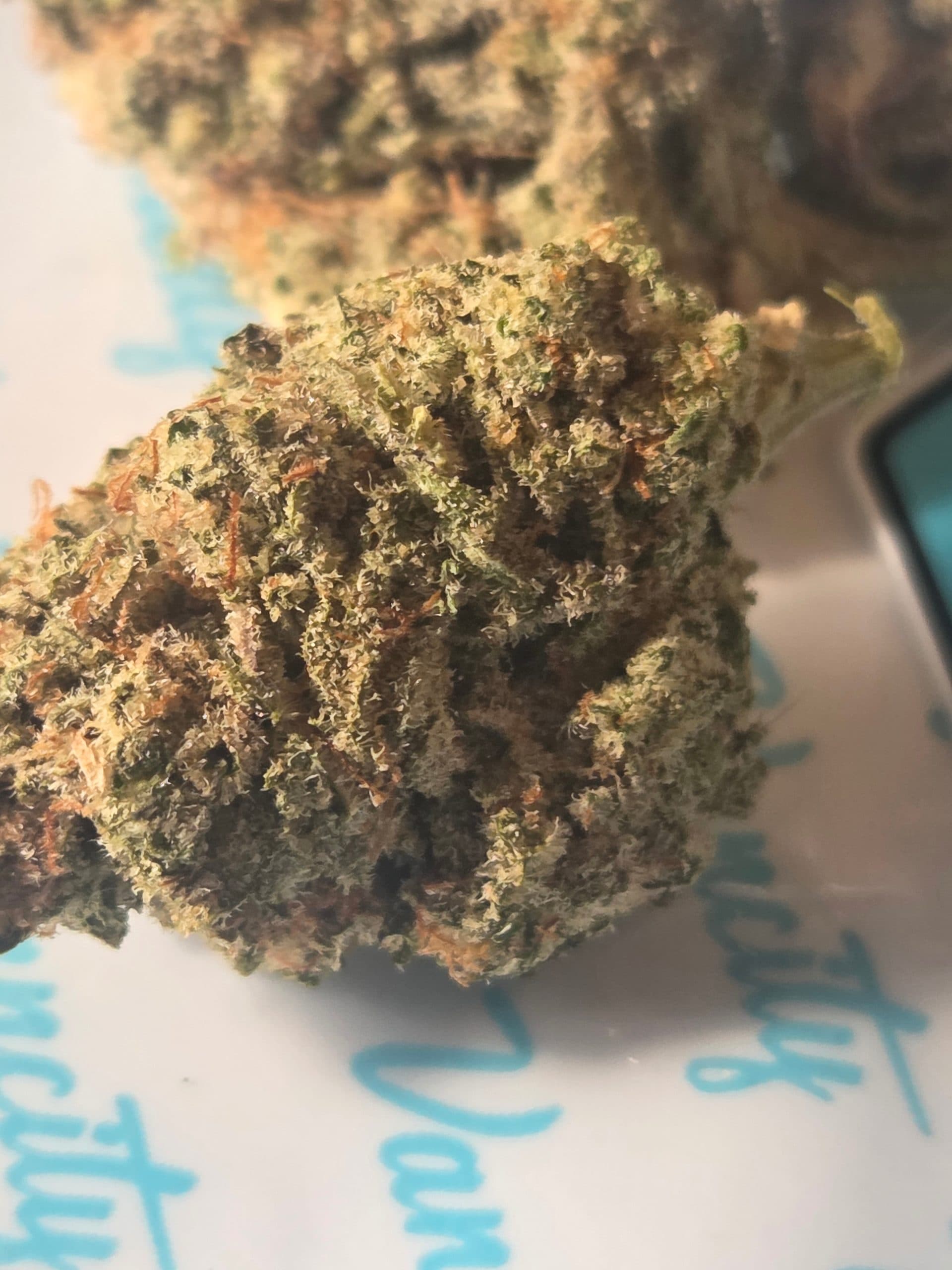 Customer photo of Alien Cookies - AAA