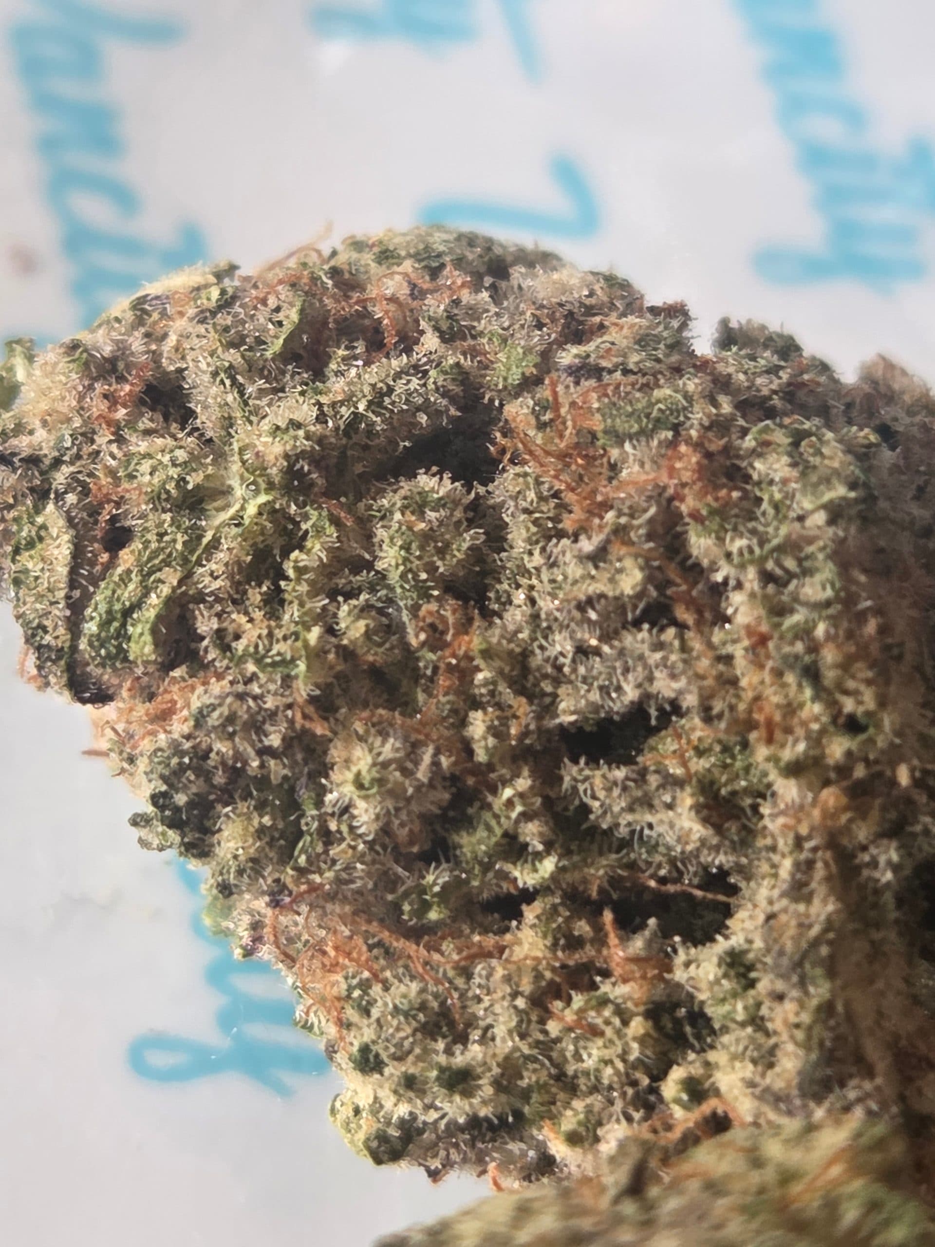 Customer photo of Alien Cookies - AAA