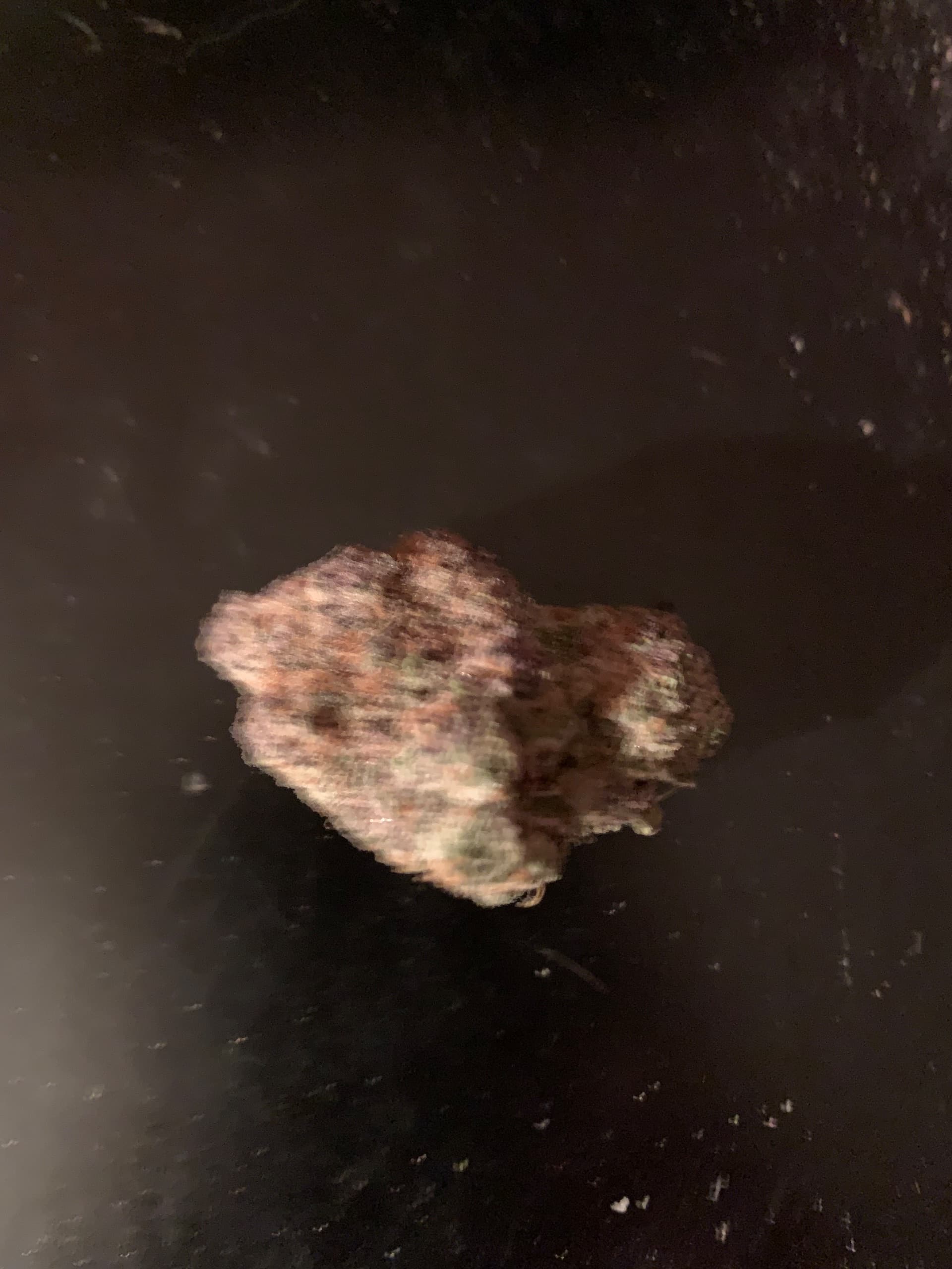 Customer photo of Super Boof Cherry - AAA