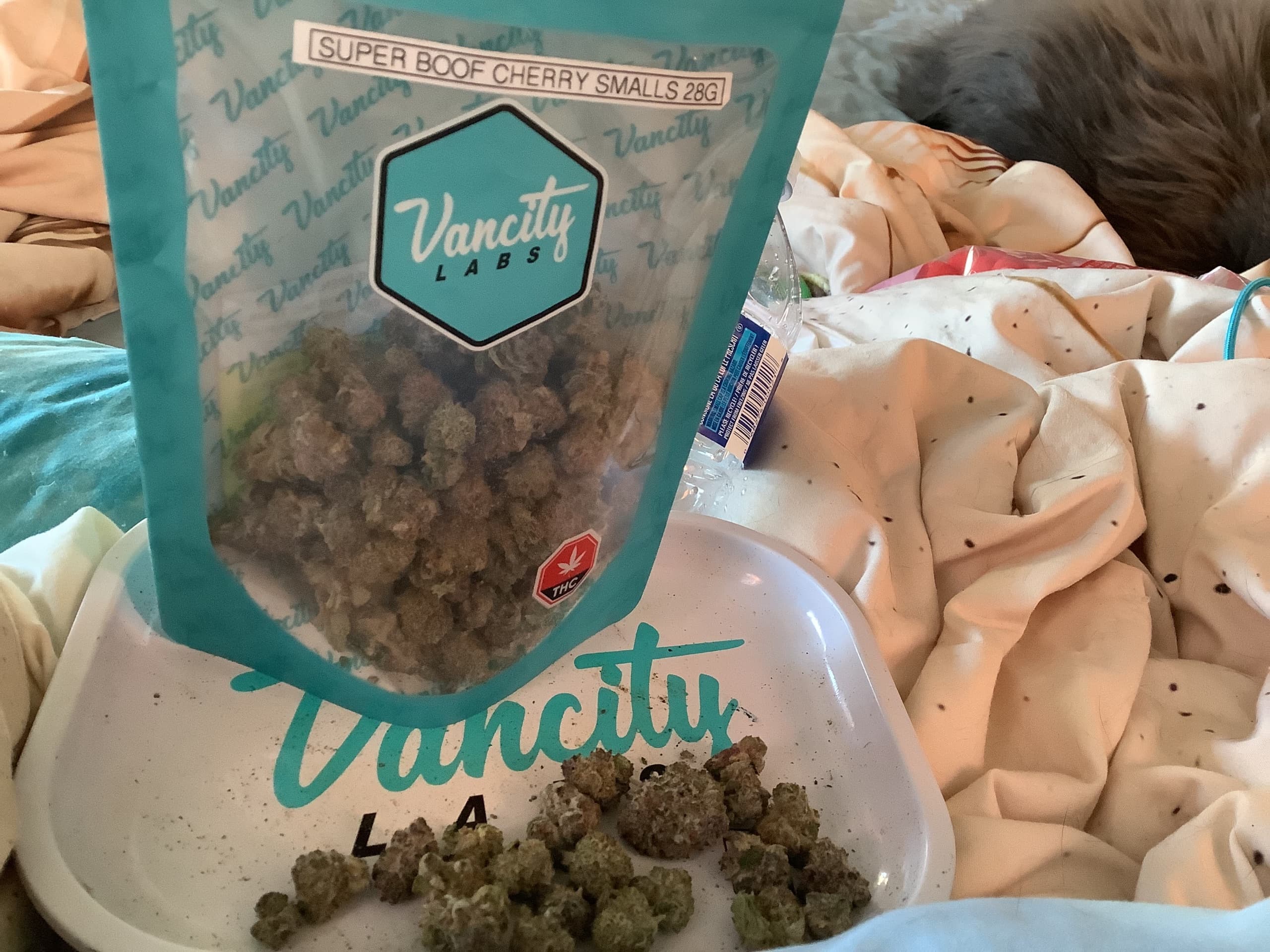 Customer photo of Super Boof Cherry - AAA