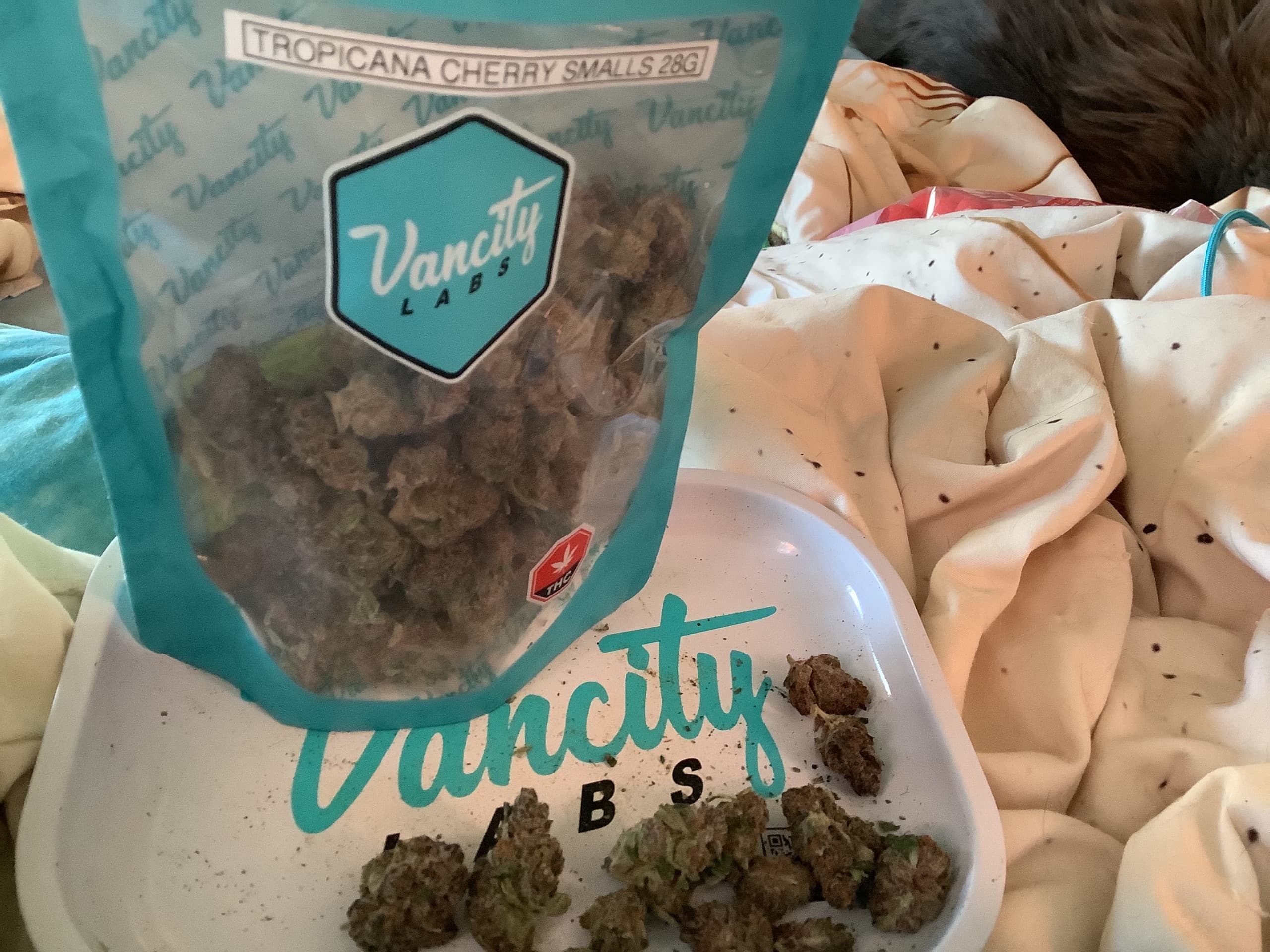 Customer photo of Tropicana Cherry - AAAA