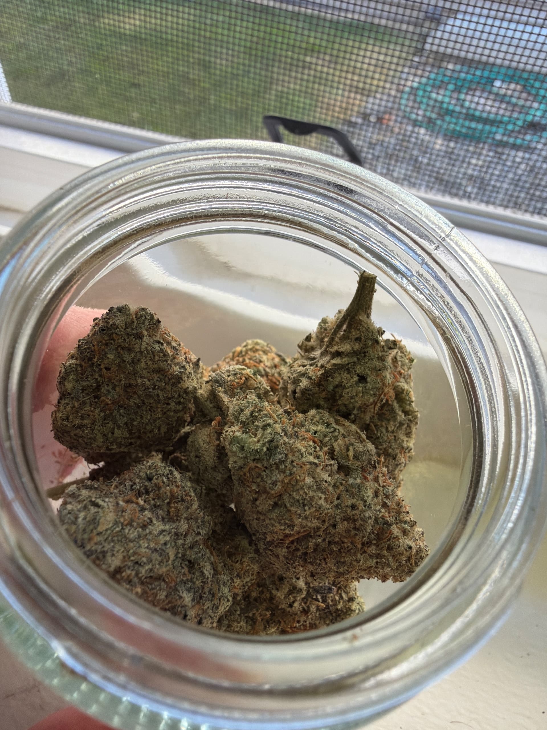 Customer photo of Blue Lobster - AAAA