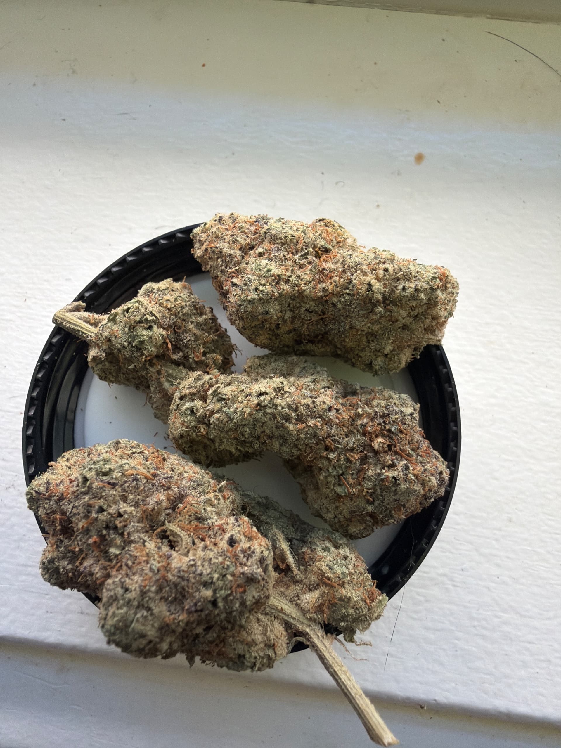 Customer photo of Blue Lobster - AAAA