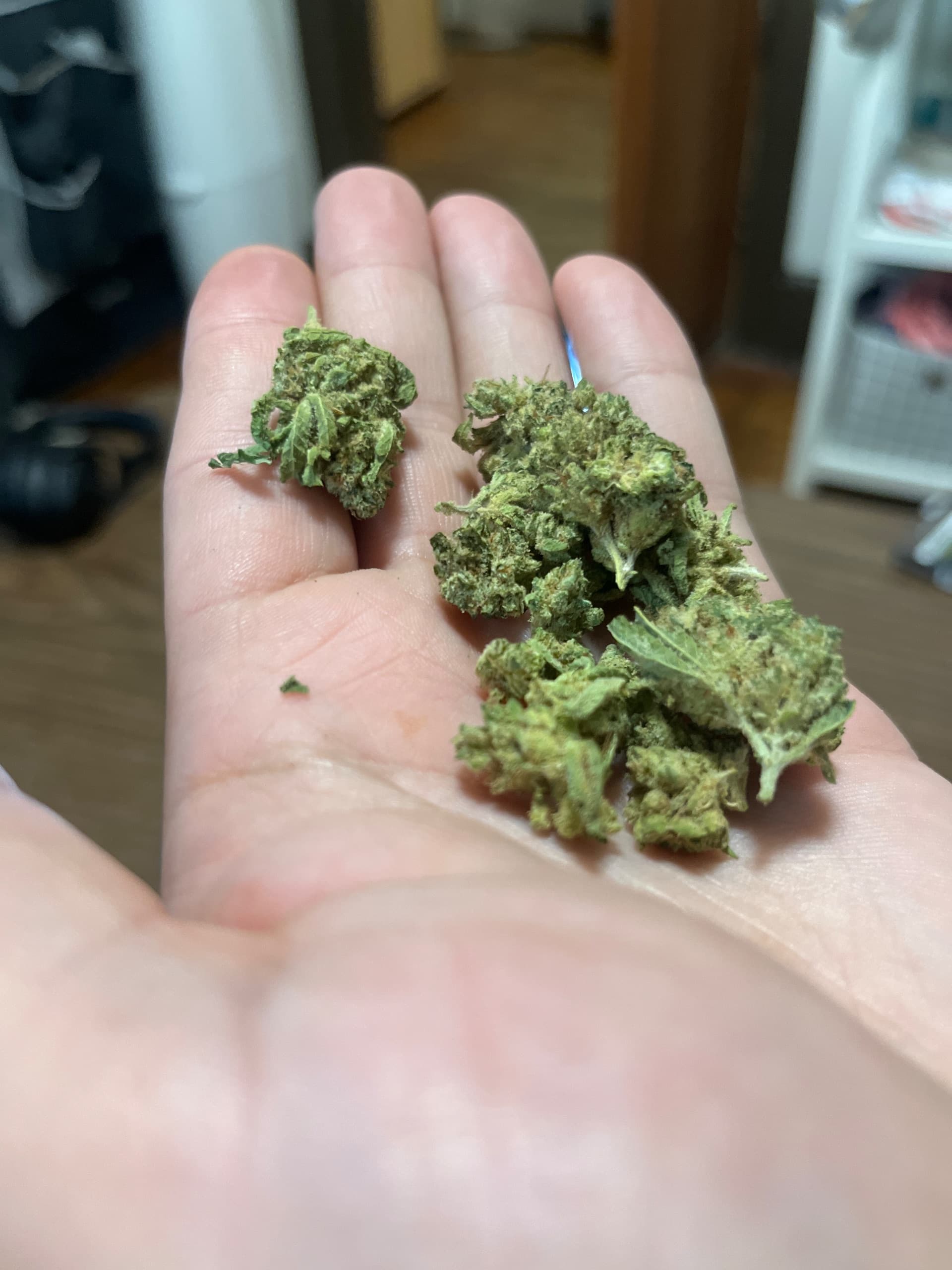 Customer photo of Frosted Fruitcake - Smalls