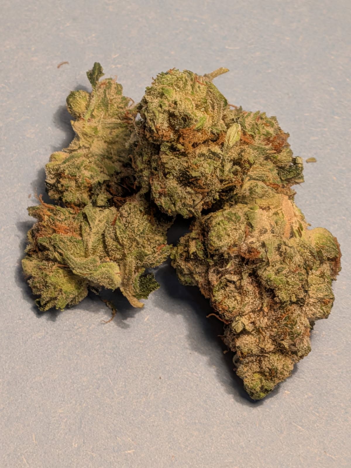 Customer photo of Rockstar - Smalls