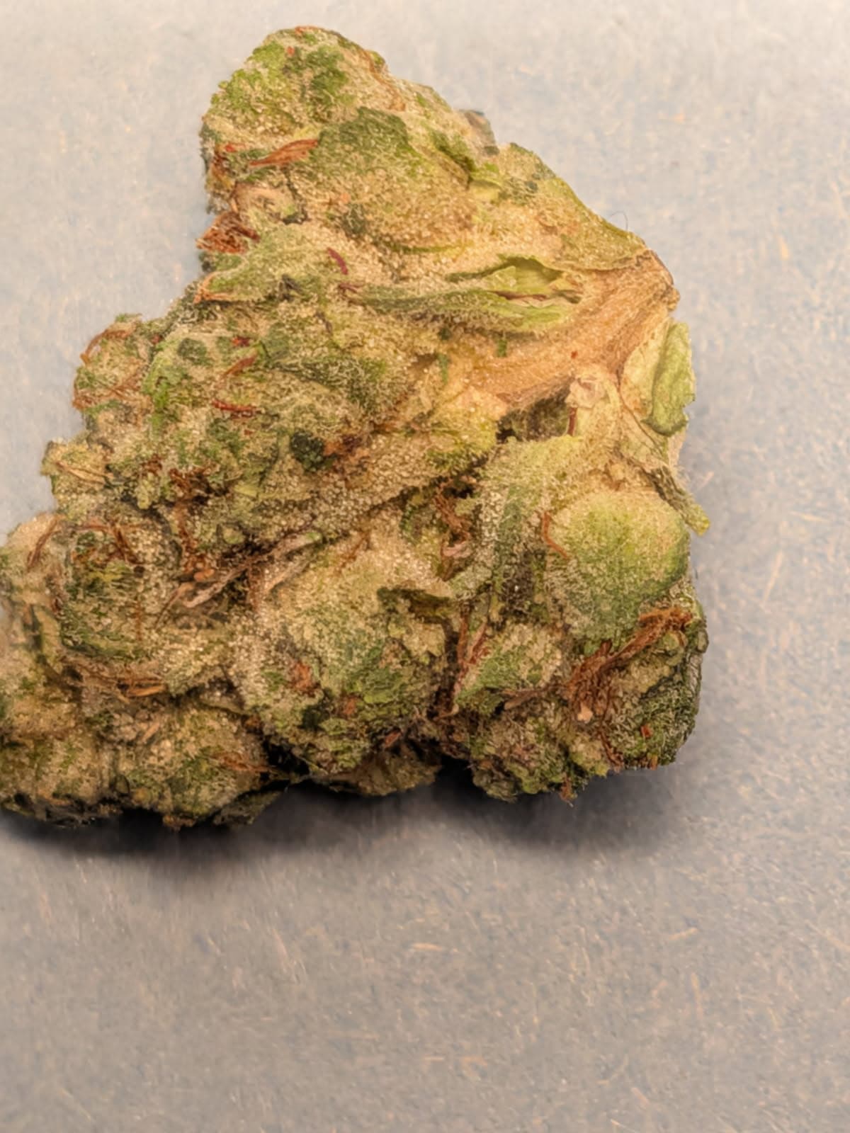 Customer photo of Rockstar - Smalls
