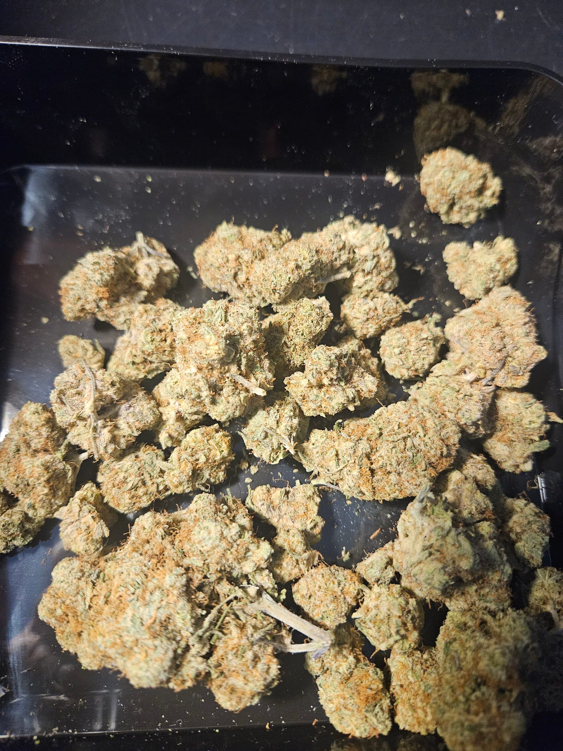Customer photo of Newberry - AAA