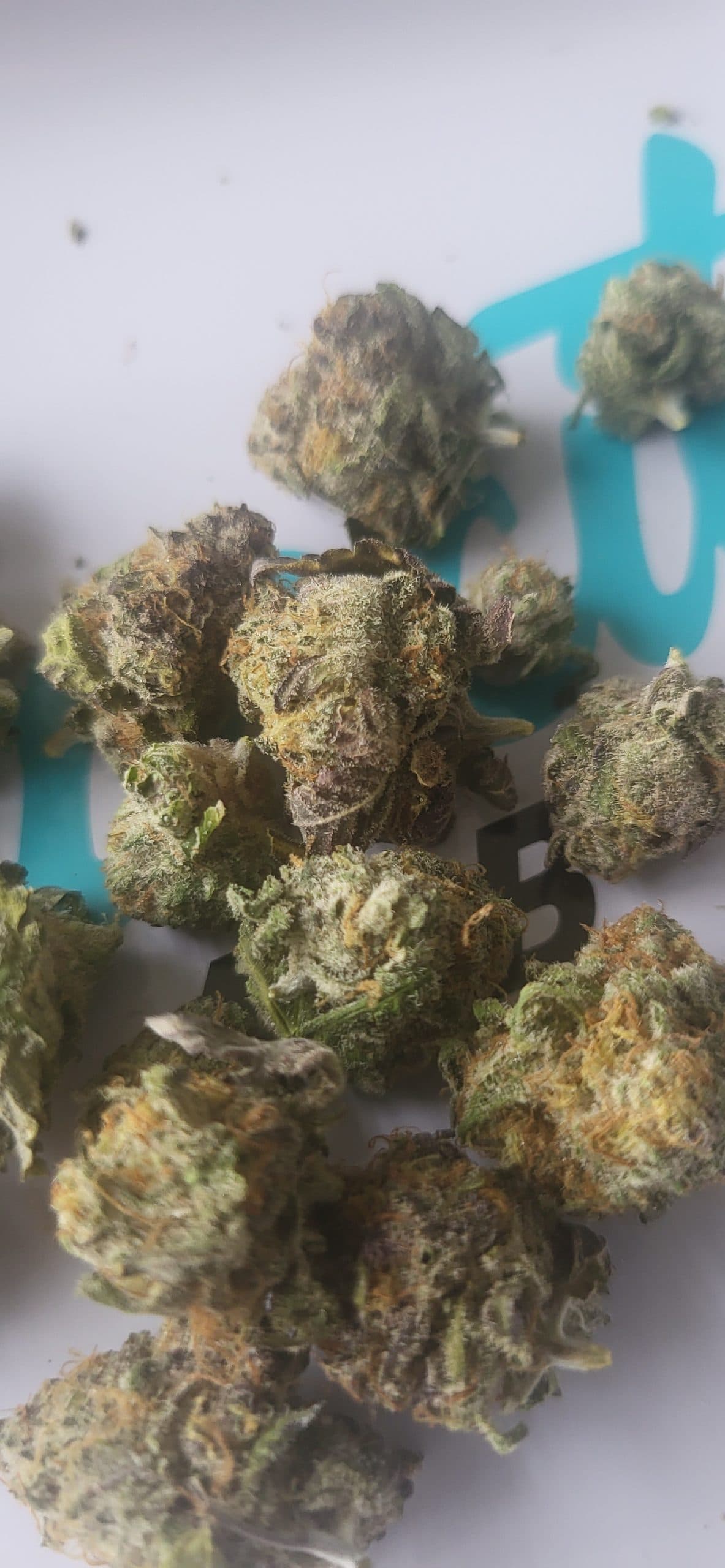 Customer photo of Super Boof - Smalls