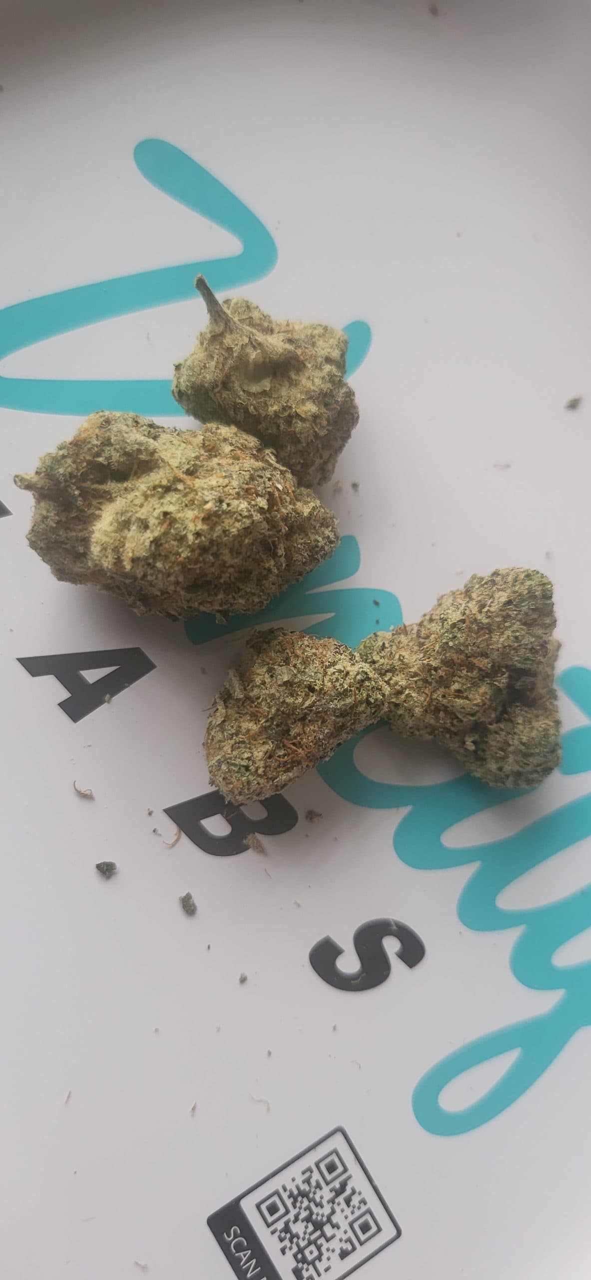 Customer photo of Bread and Butter - Smalls