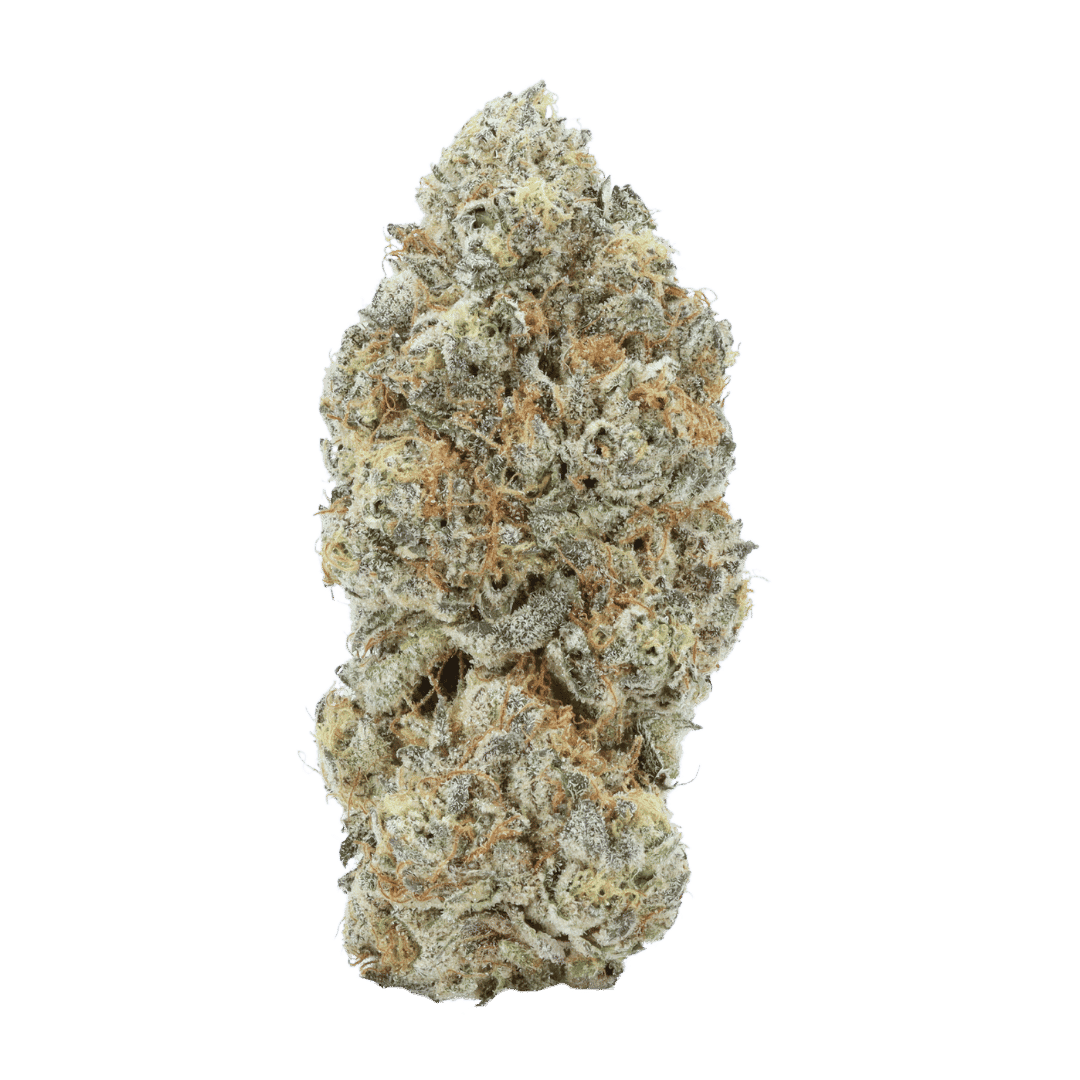 Blue Dream strain