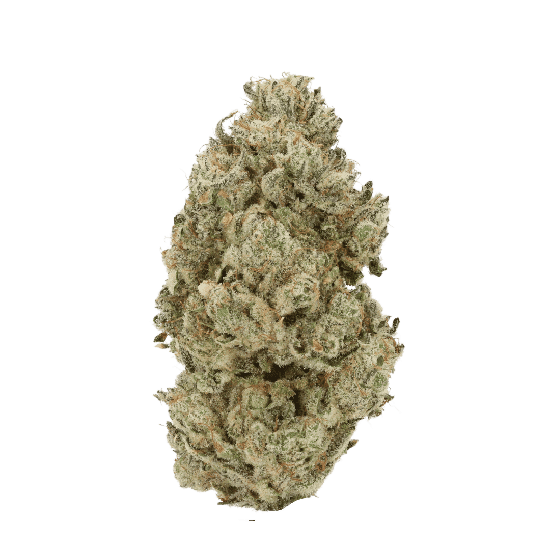 Kush Mints strain