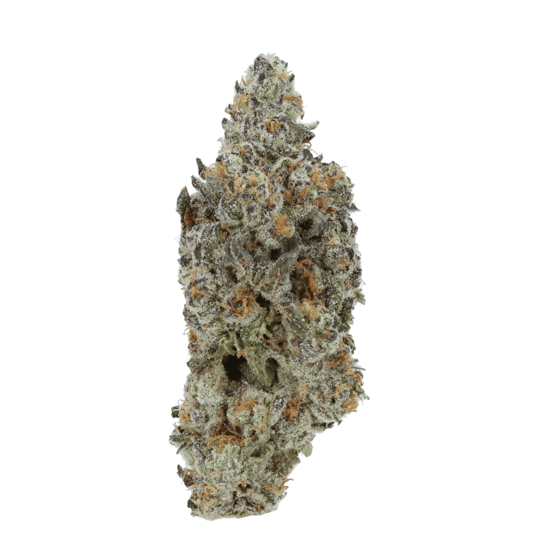 Purple Punch strain