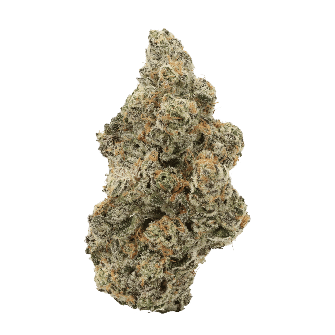Sunset Sherbet strain