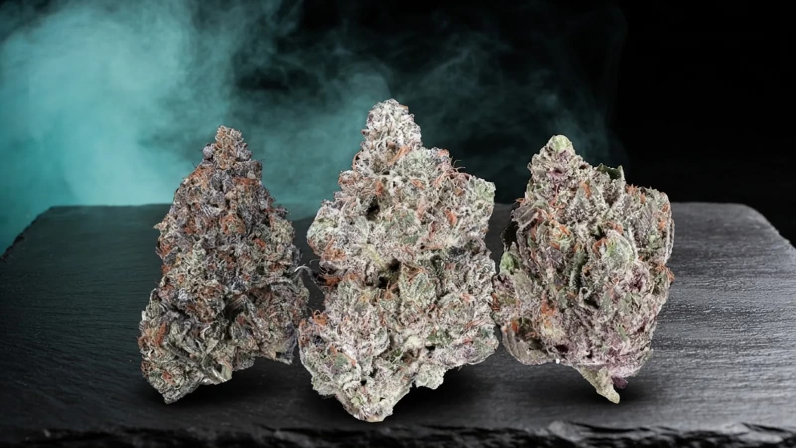 BC Bud strains: Death Bubba, Pink Kush and Rockstar buds on dark slate