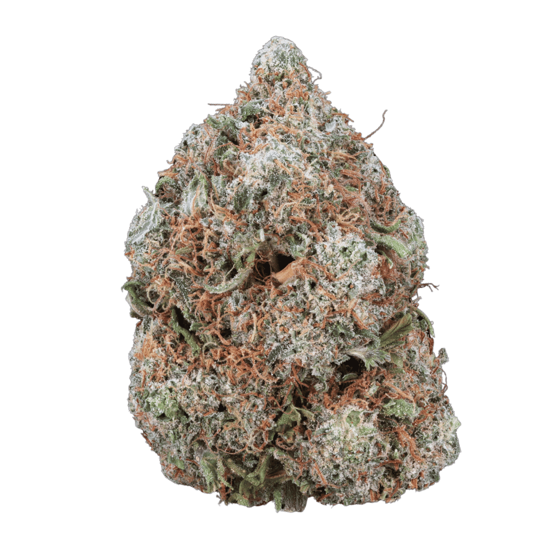 Jack Herer - AAA